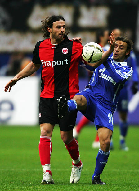 献了一场高 献了一场高