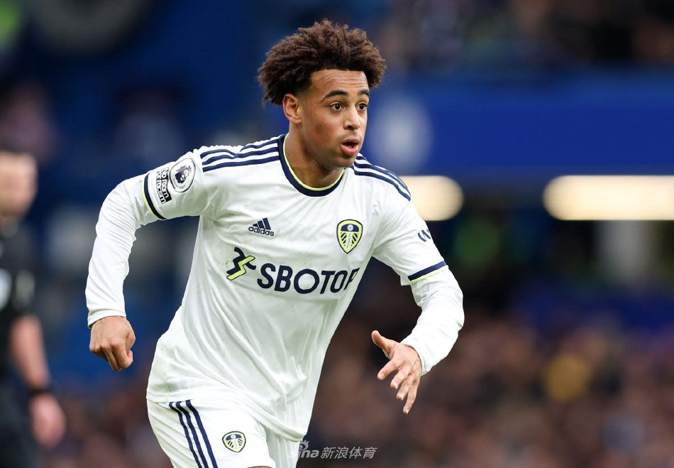 莎头组合遭 莎头组合遭